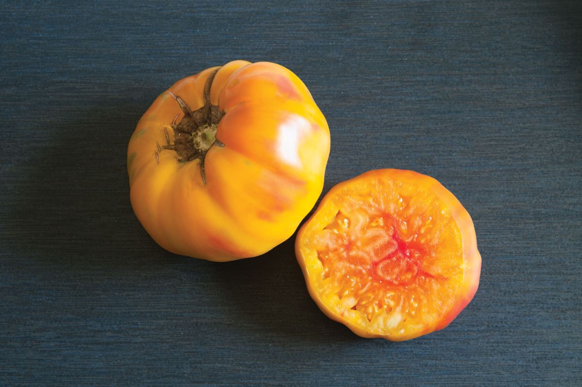 Striped German – Organic Tomato Seed